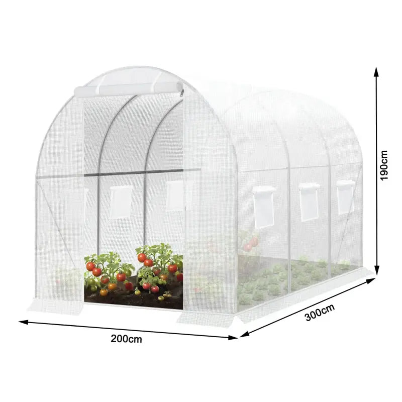 BukkitBow polytunnel tuinkas voor groenteteelt, winterproof, met deur en zes ramen, afmetingen 300x200x190 cm.