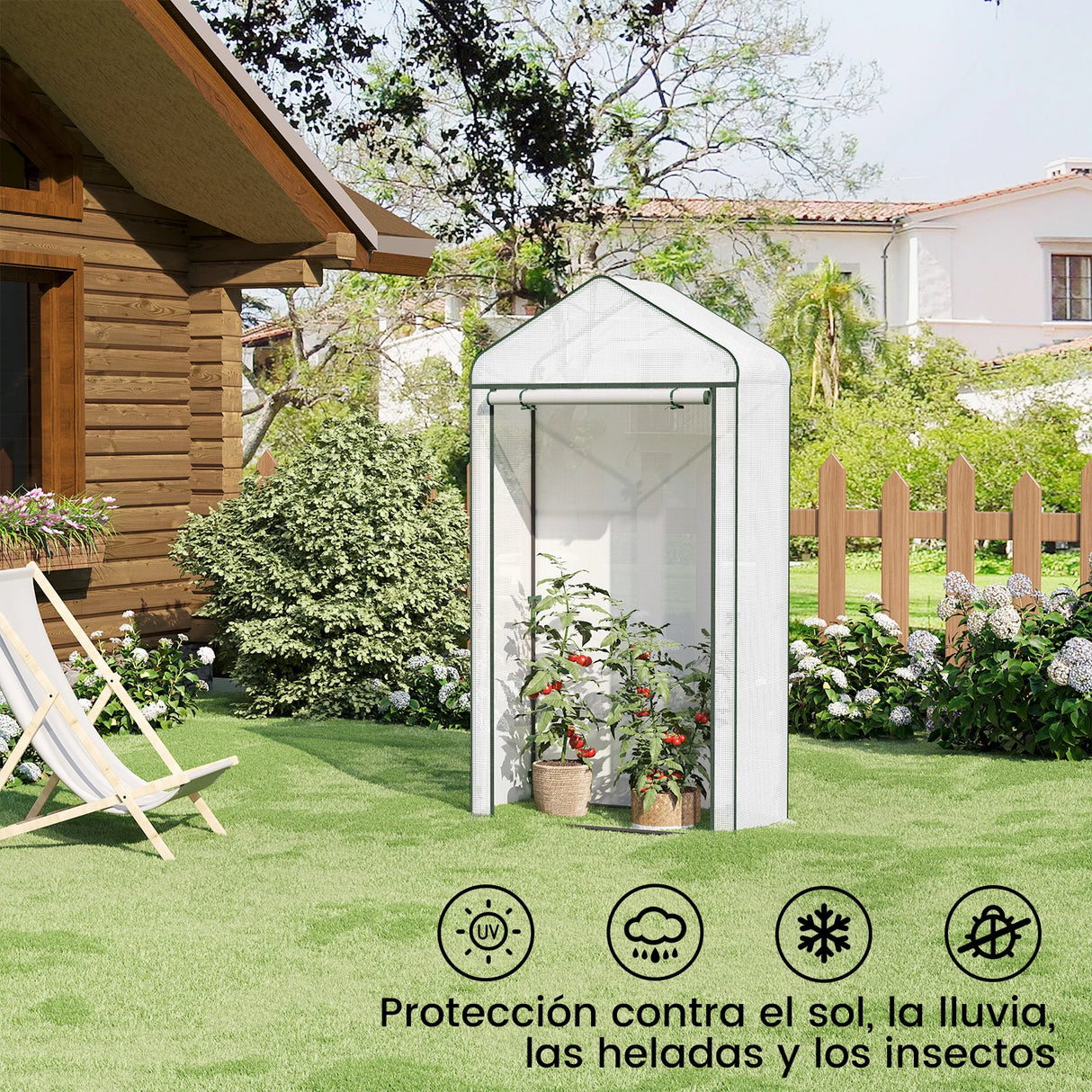 Ruime BukkitBow tomatenkas en plantenkas, 150 cm breed, met transparante plastic wanden en metalen frame voor tuinplanten.