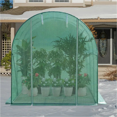 BukkitBow polytunnel tuinkas voor wintergroenten, compact ontwerp met deur en zes ramen, 300x200x190 cm, geschikt voor tuinbouw.