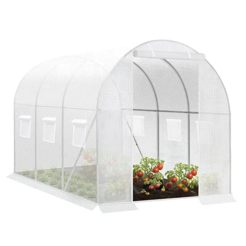 BukkitBow polytunnel tuinkas voor groenteteelt, winterproof met deur, 6 ramen en afmetingen 300x200x190 cm.