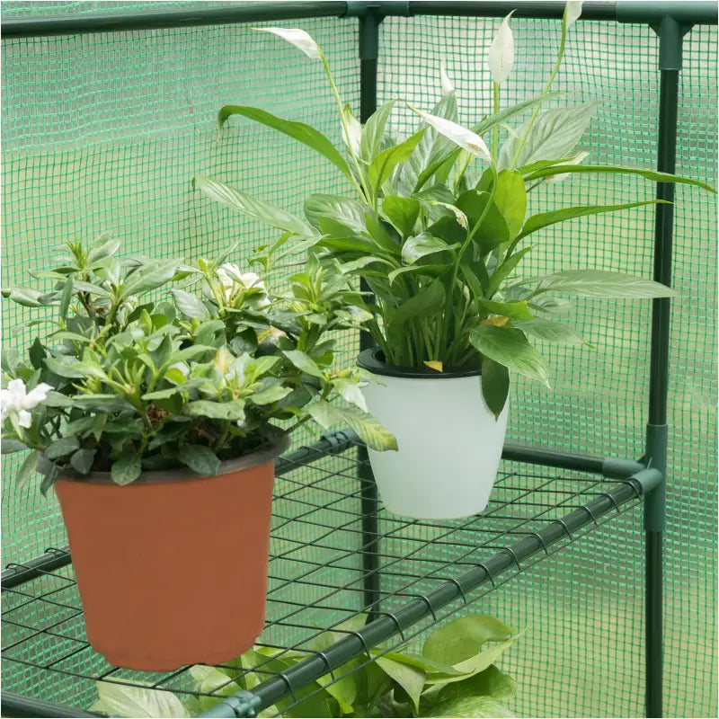 BukkitBow polytunnel tuinkas voor groenten, winterproof, compact met groot luik en drie bloemenplanken, 143x143x195 cm