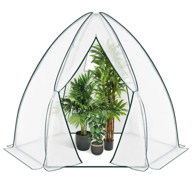 BukkitBow polytunnel tuinkas voor groenten teelt, compact met groot luik en raam, 240x240x200 cm, winterbestendig en gebruiksvriendelijk