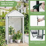 Ruime BukkitBow tomatenkas en plantenkas, 150 cm breed, met glasdeuren en metalen frame voor tuinplanten en tomaten.