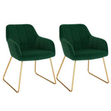 Set van 2 BukkitBow fluweel Eetkamerstoelen met gouden metalen poten, stijlvolle en comfortabele stoelen, zithoogte 48,5 cm.